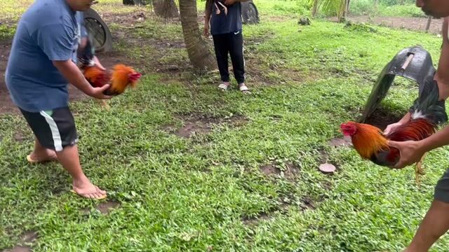 Video from Emmanuel L. Mendoza's post