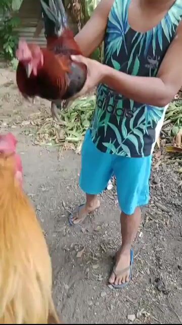Video from Alter Allan L.Ruiz's post