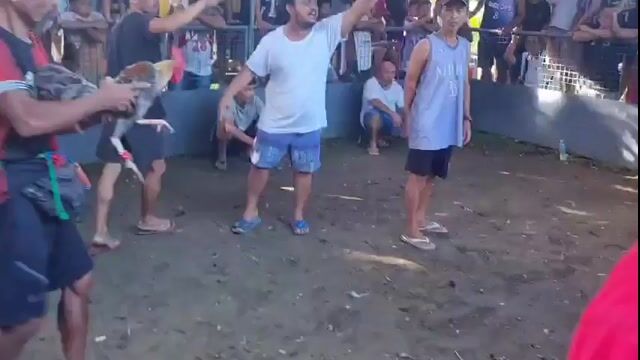 Video from JC McHills's post