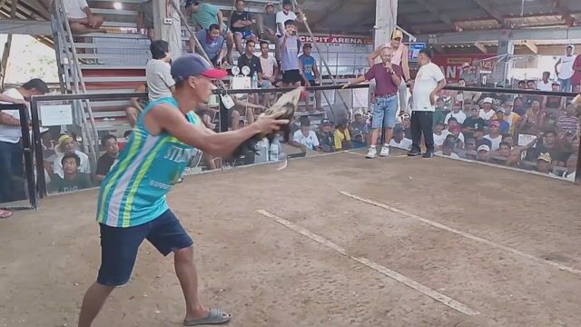 Video from KALAHI Gamefowl's post