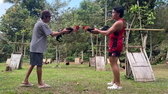 Video from Adrian Soliman's post