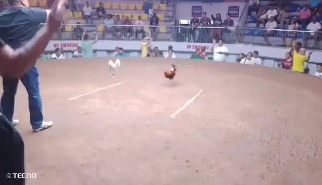 Video from DENZBER QUIWAG PINTOY's post
