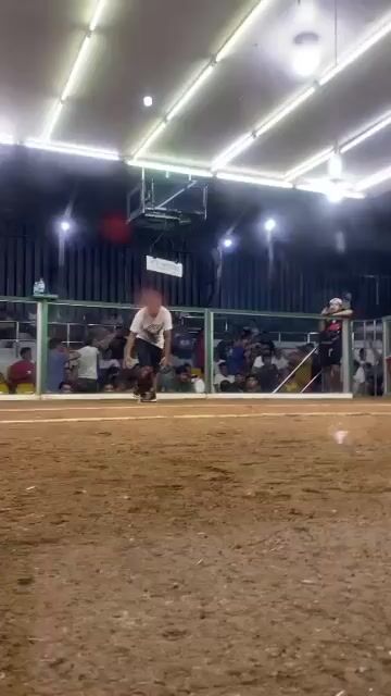 Video from Paulino Ibarra Lozano's post