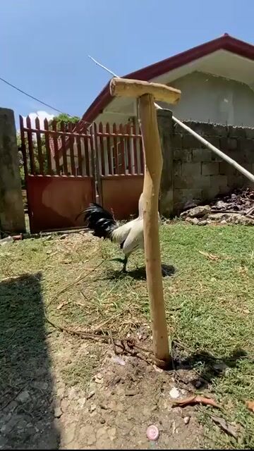 Video from Jojan Sinanggote's post