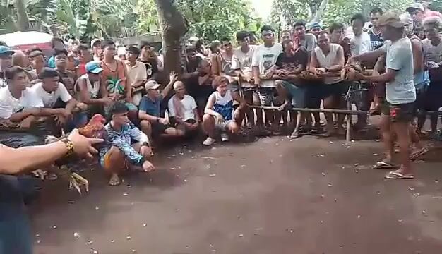 Video from Marco Antonio's post
