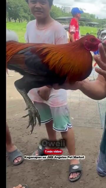 Video from Oweii Gf's post