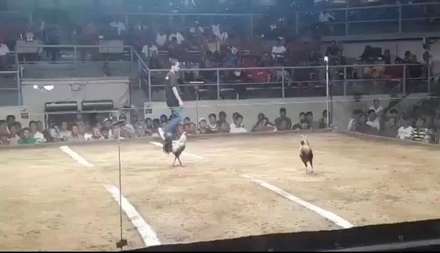 Video from Jescy Fillartos's post