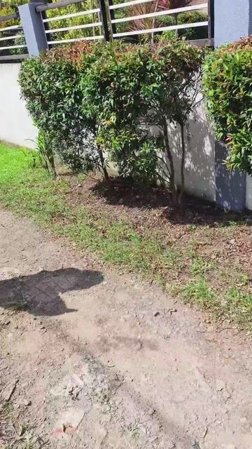 Video from Mark Breeder Gf's post
