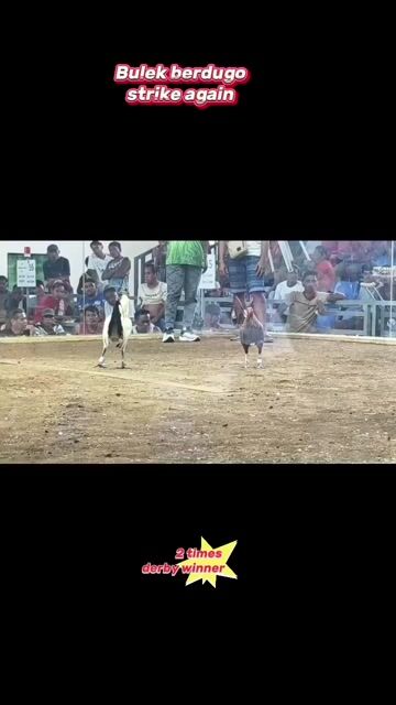 Video from Golden BP Gamefarm's post