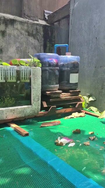 Video from Jessie S Campomanes's post