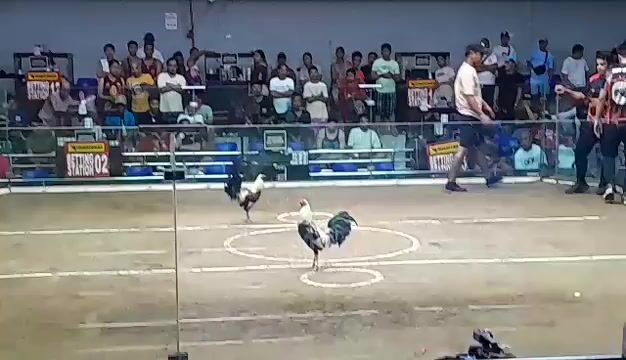 Video from Jon De Veyra's post