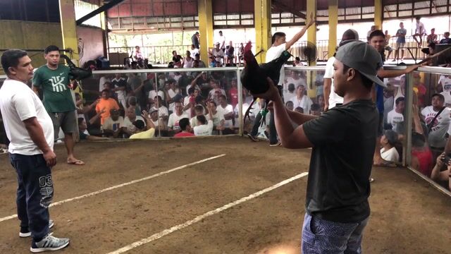 Video from Starcey GameFarm's post