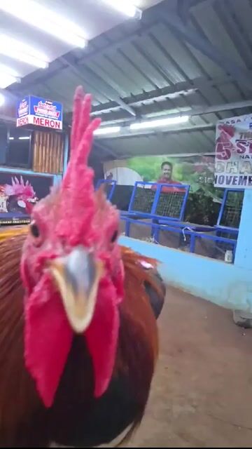 Video from Jron Kyle Garcia's post