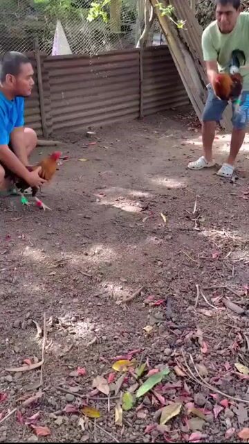 Video from Kenito Ticzon's post