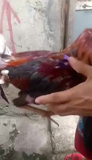Video from DENZBER QUIWAG PINTOY's post