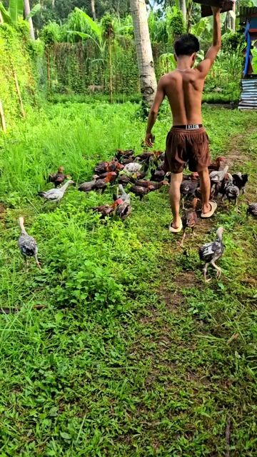 Video from H&M GAMEFARM's post