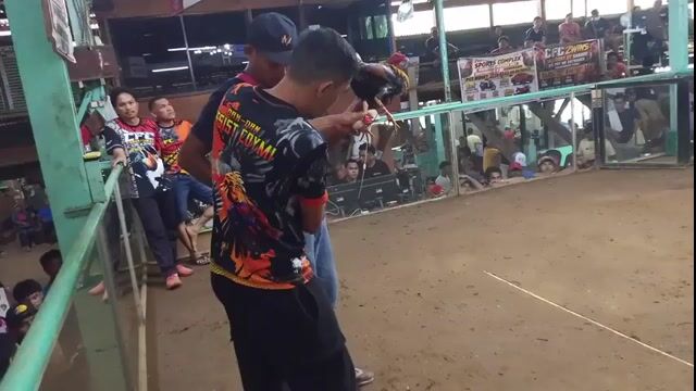 Video from Jade banico's post