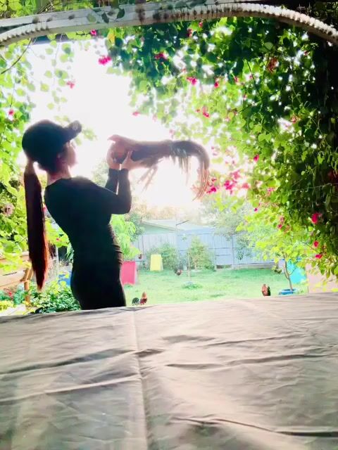 Video from Dennis Valenzuela's post