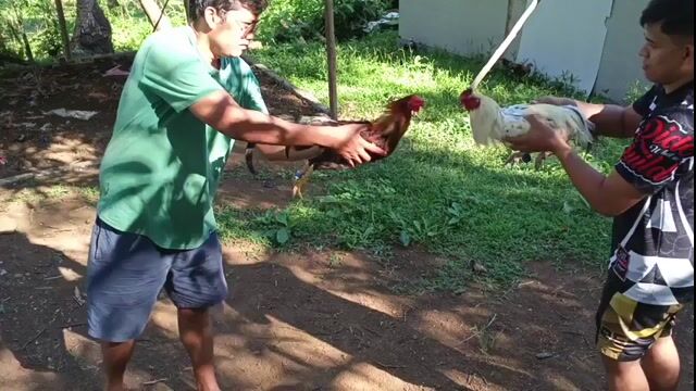Video from Jerome Caguimbal's post