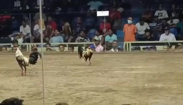 Video from Blackbeak Uy's post