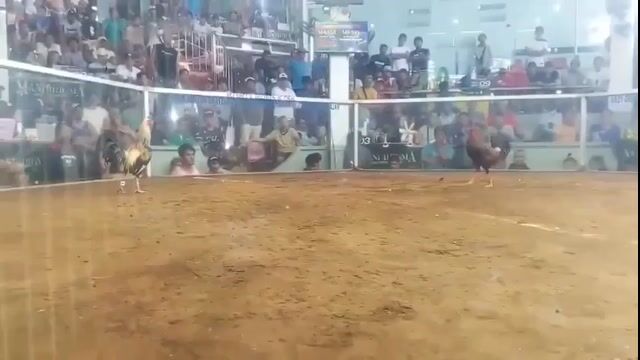 Video from Jon De Veyra's post