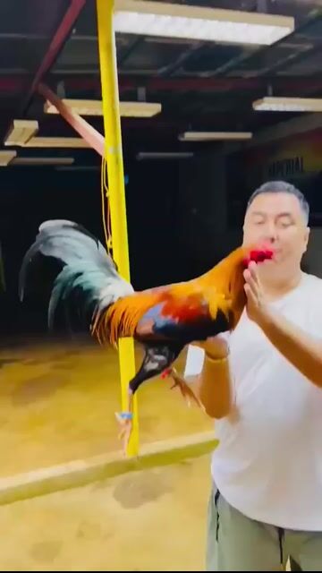 Video from Edmer Navales's post