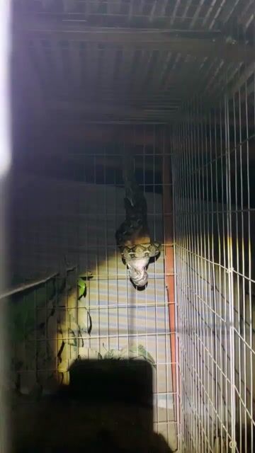 Video from Lyn Labedon's post