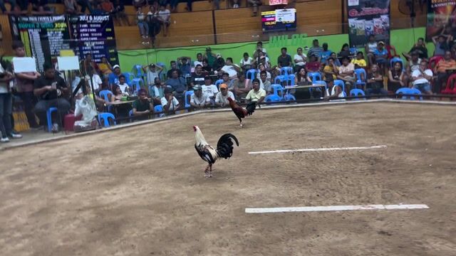 Video from EWTT Gamefarm's post