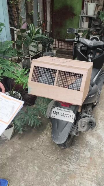 Video from Florante Gozon's post