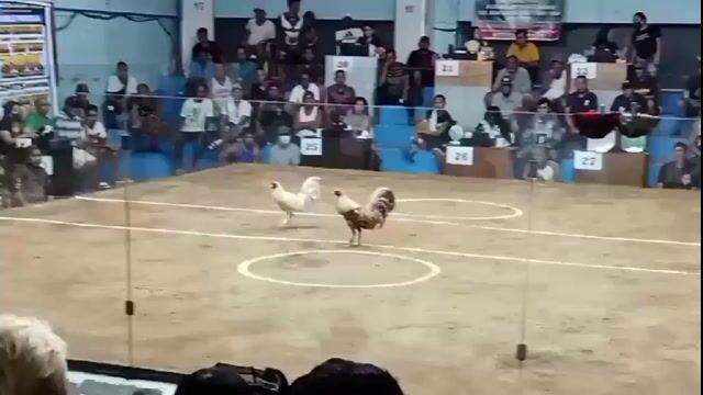 Video from Rovelino Perez's post