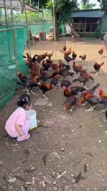 Video from Paul Symon Del Rosario's post