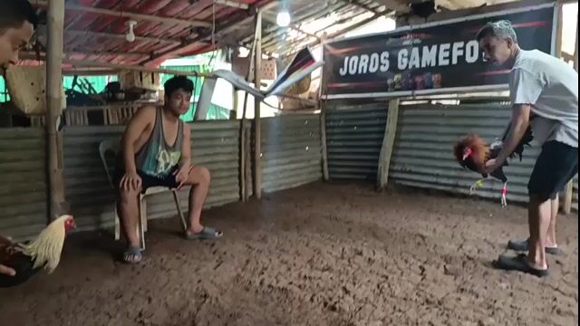 Video from JOROS gamefarm's post