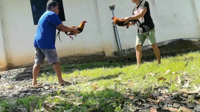 Video from Jason Lach's post