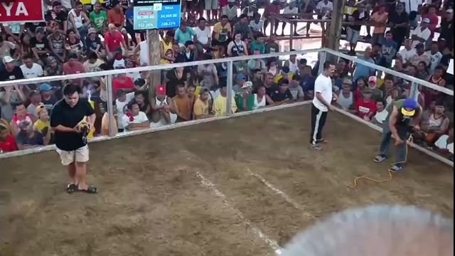 Video from NAGA GAMEFOWL's post
