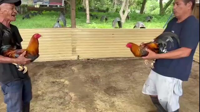 Video from JB GAMEYARD (*JBGY*)'s post