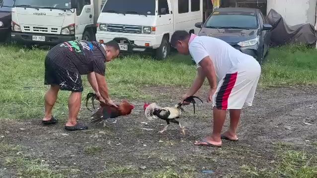 Video from Mark Evans Fernandez's post