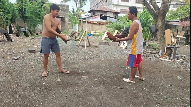 Video from Ruben Yepes's post