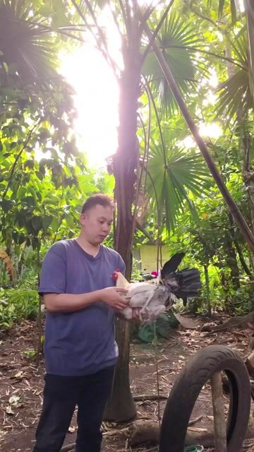 Video from Esuj Altavz's post