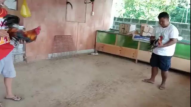 Video from ERIC DALIRE's post