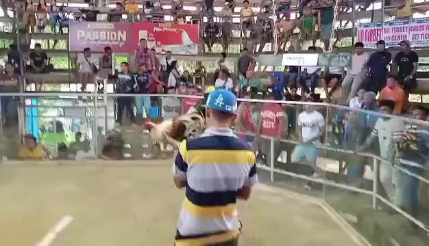 Video from EARLY BIRD Gamefarm's post