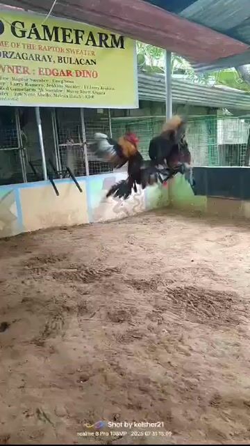 Video from RAPTOR's post