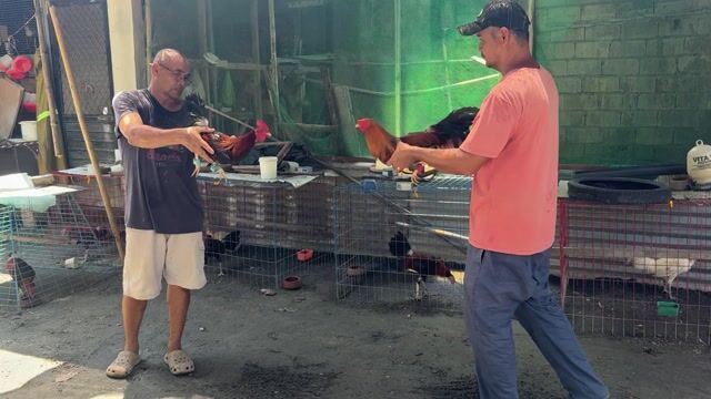 Video from Eldrich Morales's post
