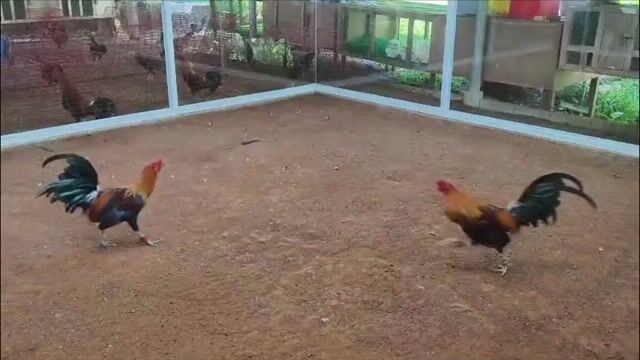 Video from Engr. Ronald Alba's post