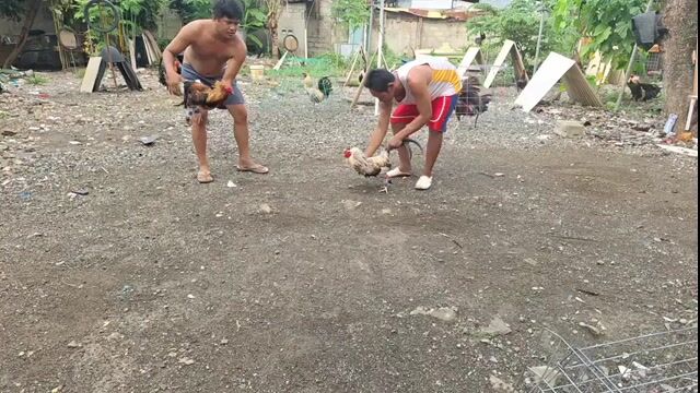 Video from Ruben Yepes's post