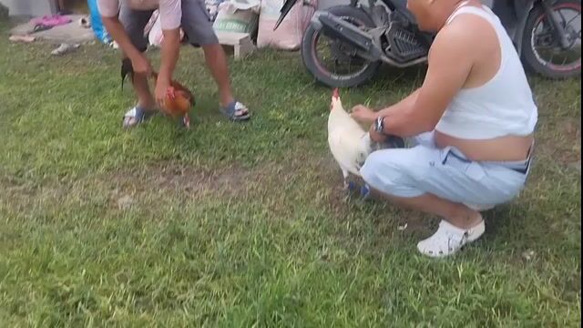 Video from Keven Labiaga's post