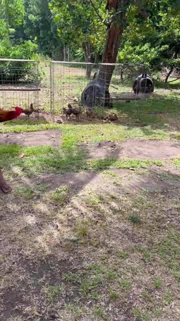 Video from Emmanuel L. Mendoza's post