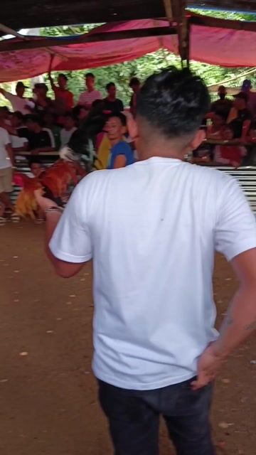 Video from ArjieCabalteraSabate(ACSFRONTYARD)'s post