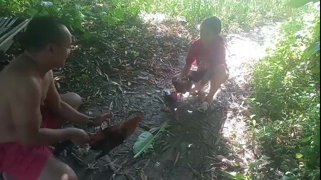 Video from Manok sa Pobre's post