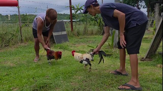 Video from Goedfrey A. Tabila's post