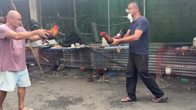 Video from Eldrich Morales's post